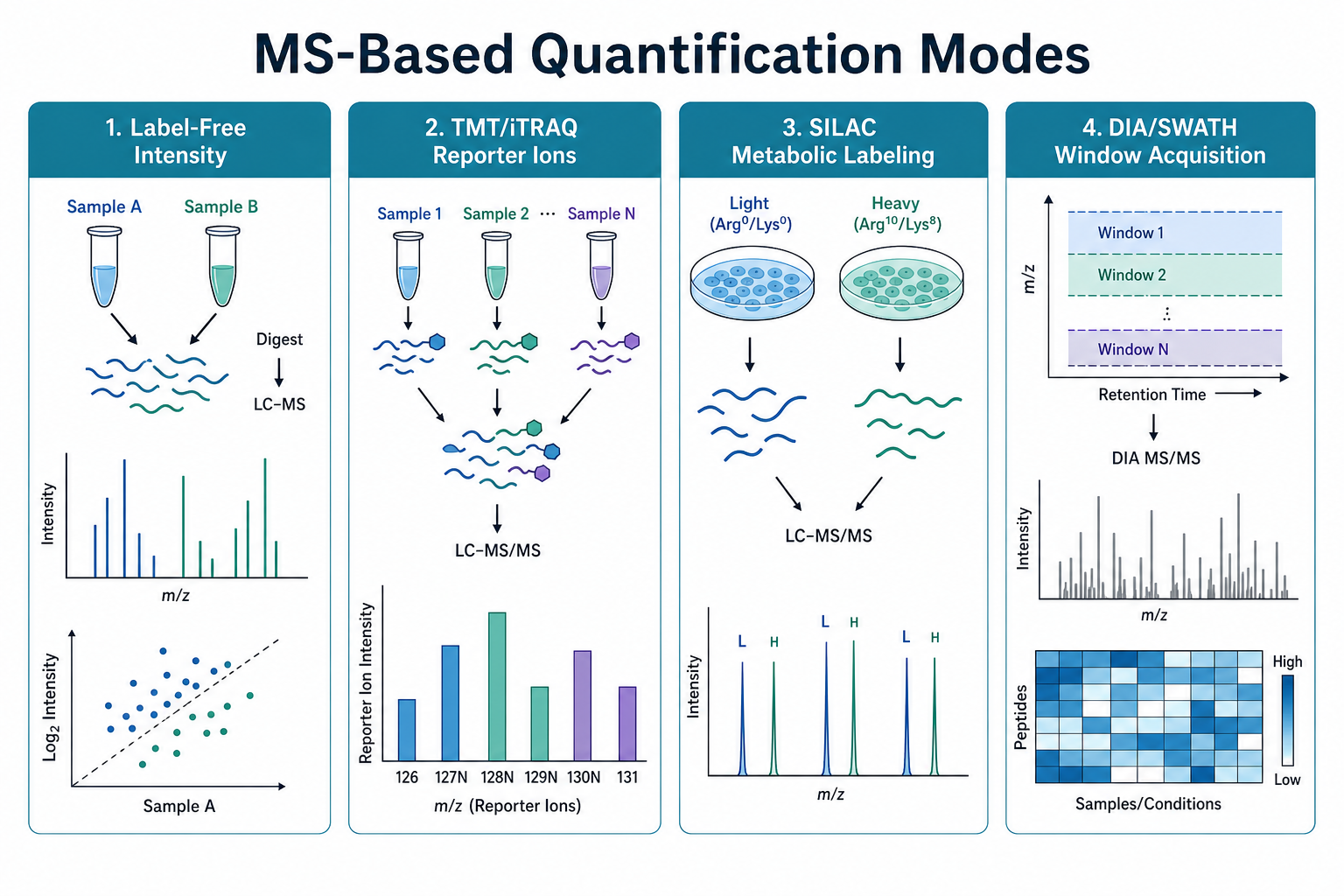 Mass spectrometry quantification modes in bottom-up proteomics including label-free, isobaric labeling, SILAC, and DIA-based acquisition Mass spectrometry quantification modes in bottom-up proteomics including label-free, isobaric labeling, SILAC, and DIA-based acquisition