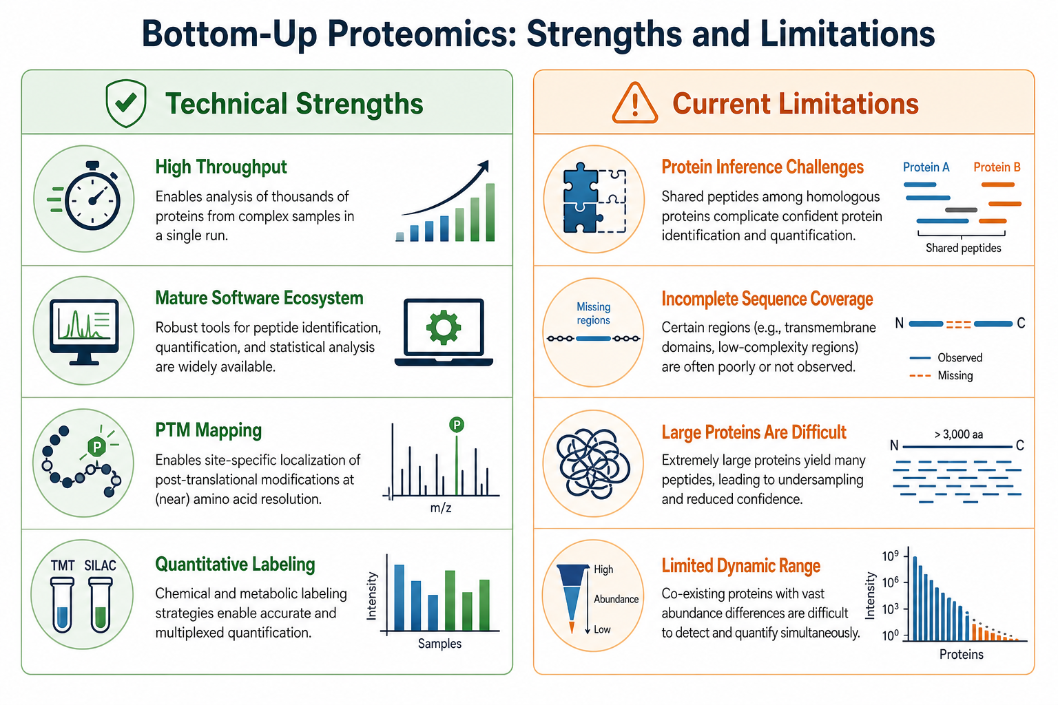 Technical strengths and current limitations of bottom-up proteomics in a side-by-side review format Technical strengths and current limitations of bottom-up proteomics in a side-by-side review format