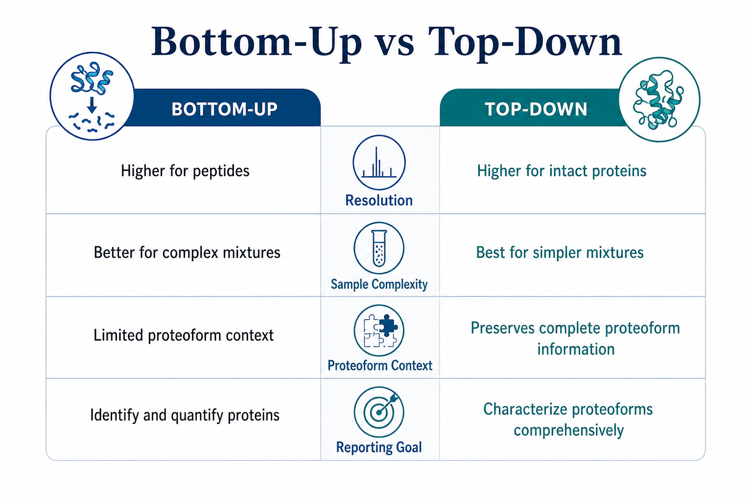 Comparison of bottom-up, middle-down, and top-down proteomics strategies by analyte size and analysis focus Comparison of bottom-up, middle-down, and top-down proteomics strategies by analyte size and analysis focus