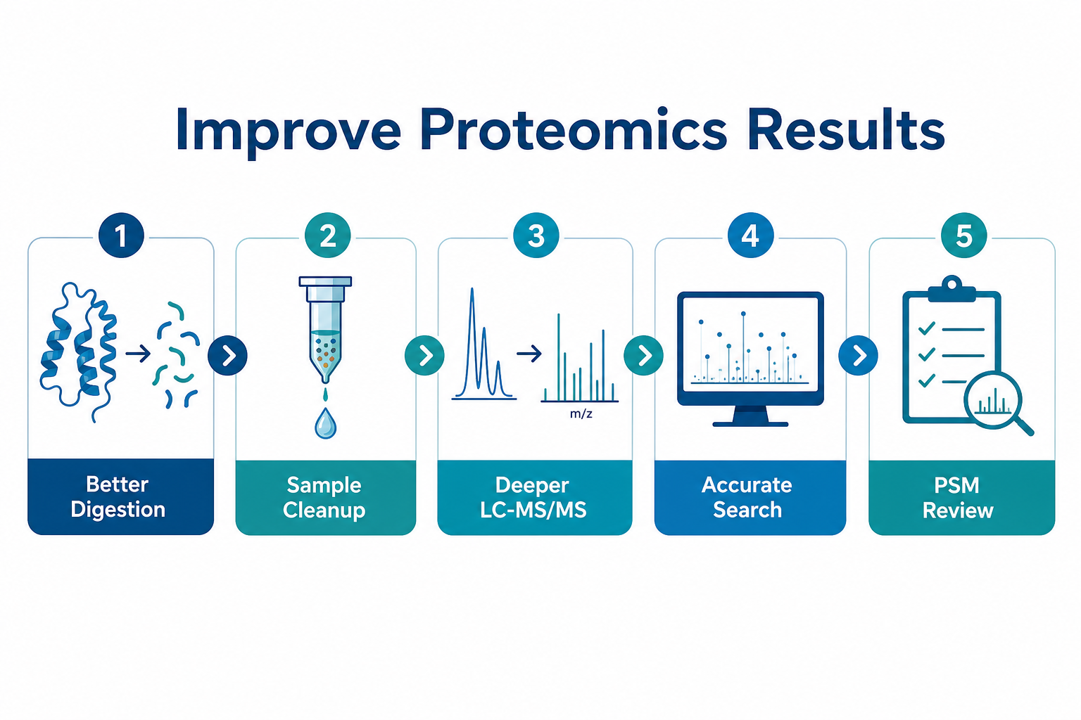Strategies to improve bottom-up proteomics results including better digestion, sample cleanup, deeper LC-MS/MS, accurate database search, and expert PSM review Strategies to improve bottom-up proteomics results including better digestion, sample cleanup, deeper LC-MS/MS, accurate database search, and expert PSM review