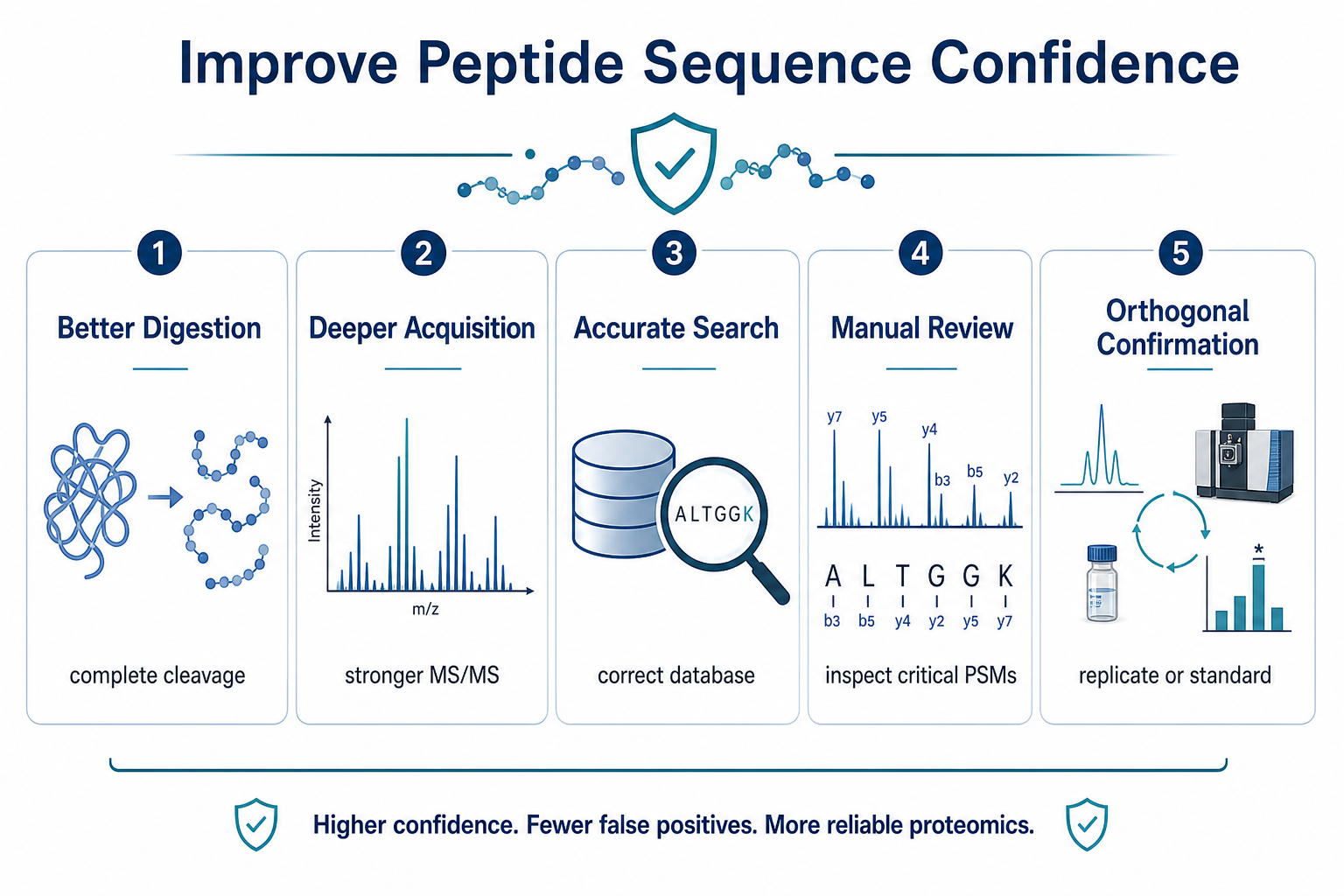 Strategies to improve peptide sequence analysis confidence in LC-MS/MS including better digestion, deeper acquisition, accurate database search, manual review, and orthogonal confirmation