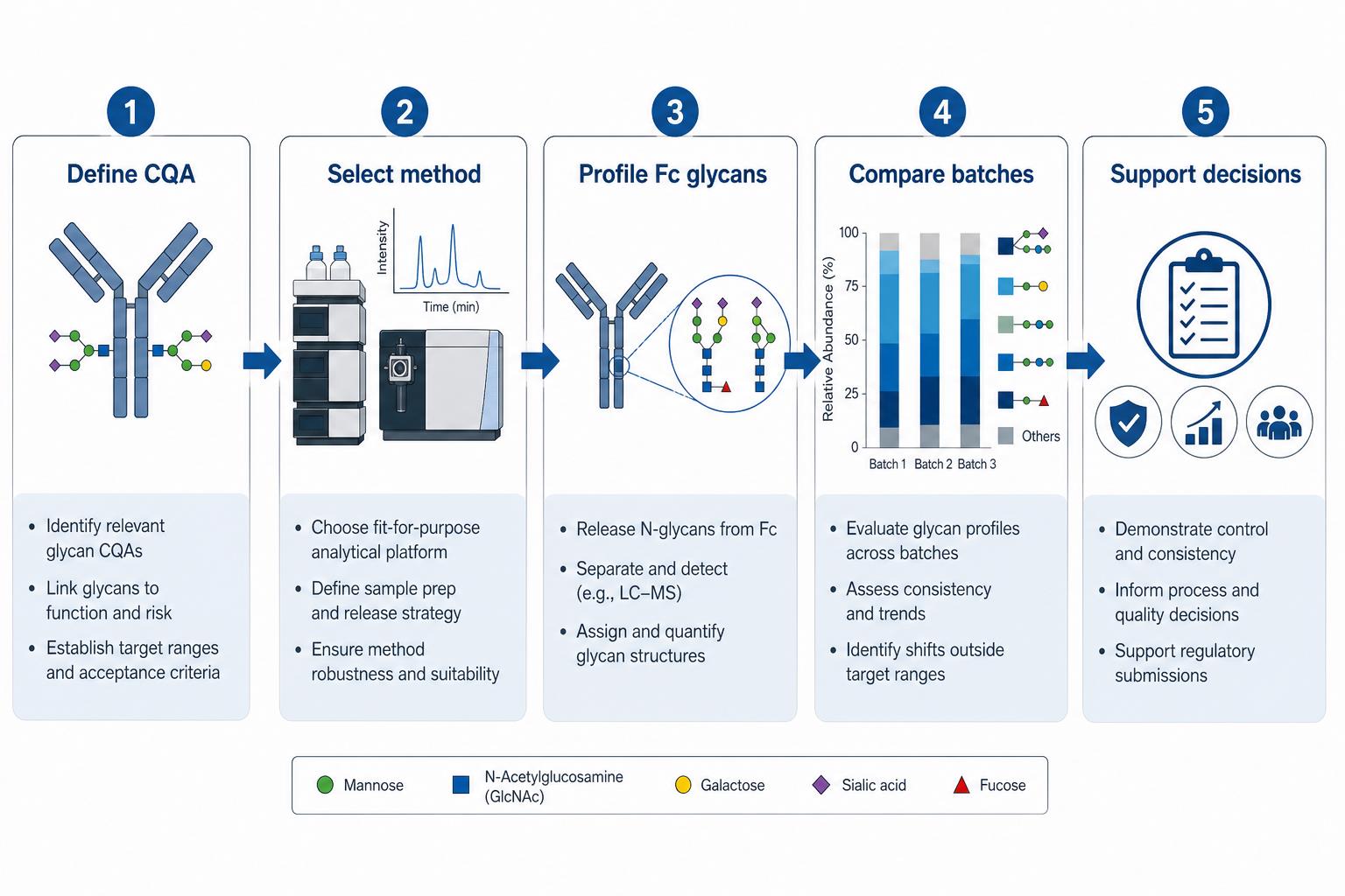 Glycan profiling workflow for monoclonal antibody drug development from CQA definition through method selection batch comparison and decision support Glycan profiling workflow for monoclonal antibody drug development from CQA definition through method selection batch comparison and decision support