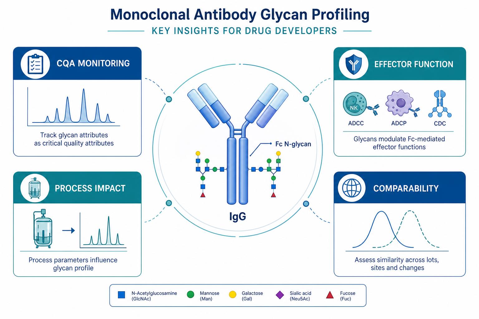 Key insights from monoclonal antibody glycan profiling for drug developers including CQA monitoring effector function process impact and comparability Key insights from monoclonal antibody glycan profiling for drug developers including CQA monitoring effector function process impact and comparability