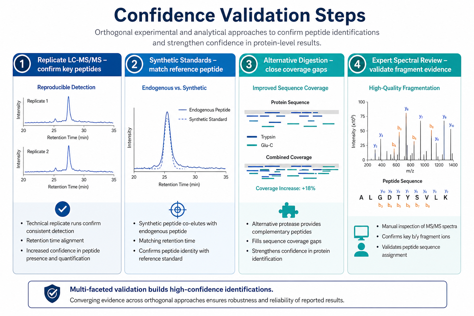 Validation steps for high-confidence peptide sequence analysis including replicate LC-MS/MS, synthetic standards, alternative digestion, and expert spectral review