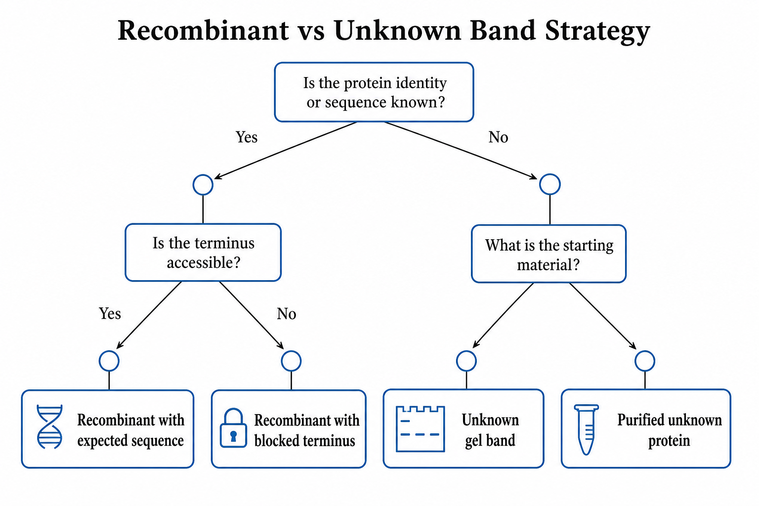 2079504242639458304-n-terminal-strategy-decision-tree.png