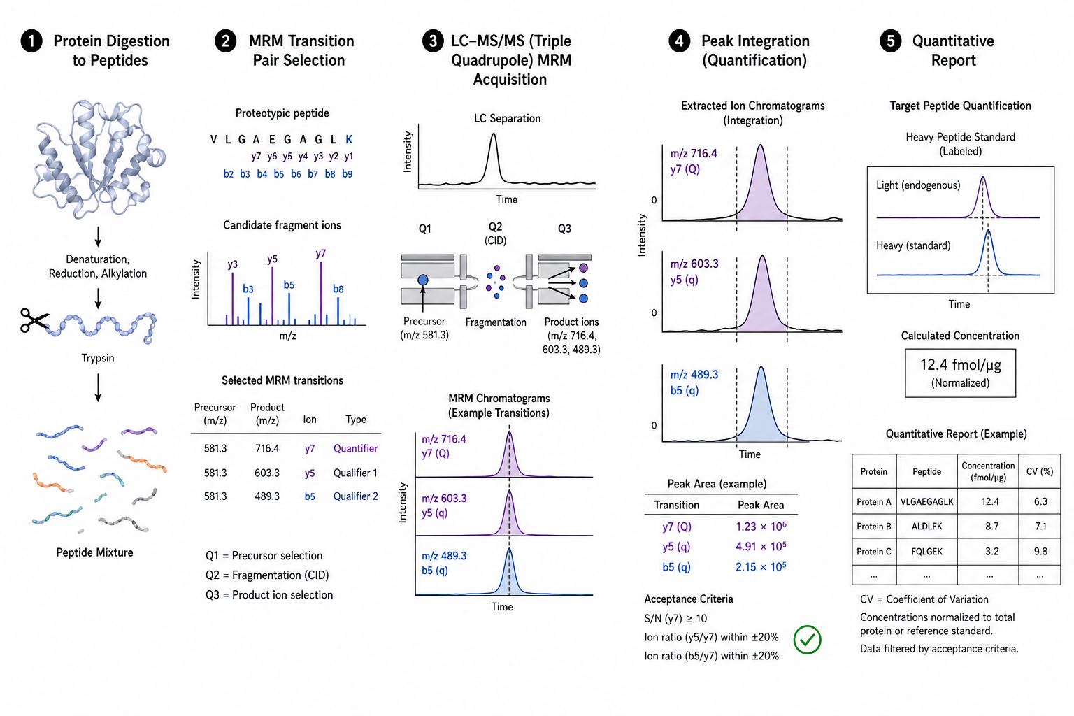 2079746400231444480-mrm-fig1-workflow.png