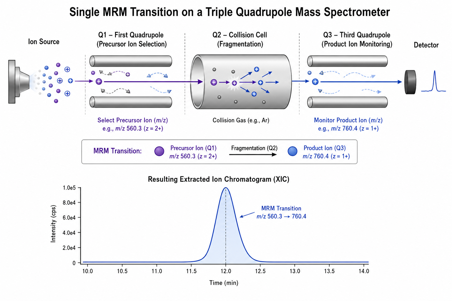 2079747063531261952-mrm-fig2-single-transition.png