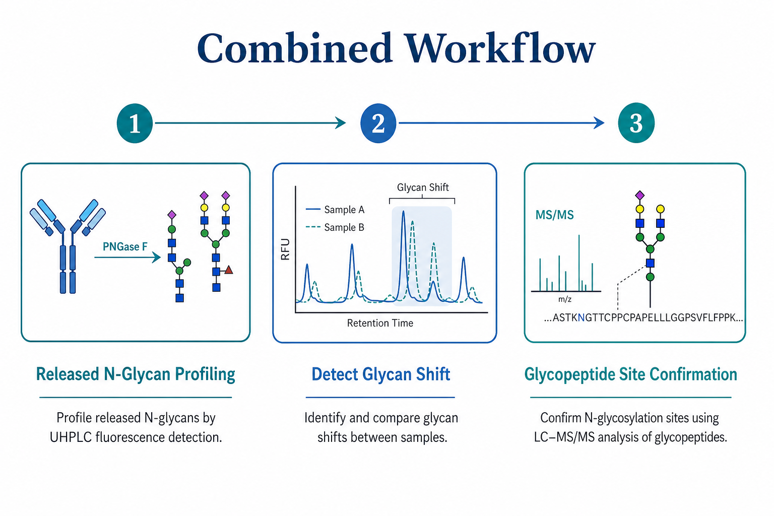 Combined antibody glycosylation analysis workflow using released N-glycan profiling first and glycopeptide mapping for site-specific confirmation Combined antibody glycosylation analysis workflow using released N-glycan profiling first and glycopeptide mapping for site-specific confirmation