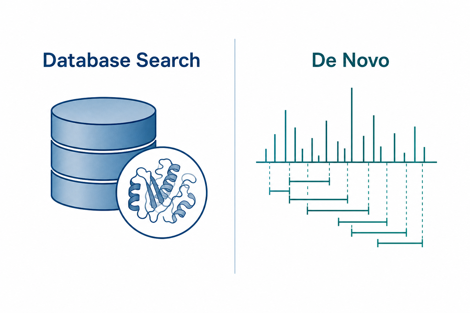 Database search and de novo peptide sequencing in proteomics showing MS/MS spectra matched to reference proteins or interpreted by fragment ion ladders