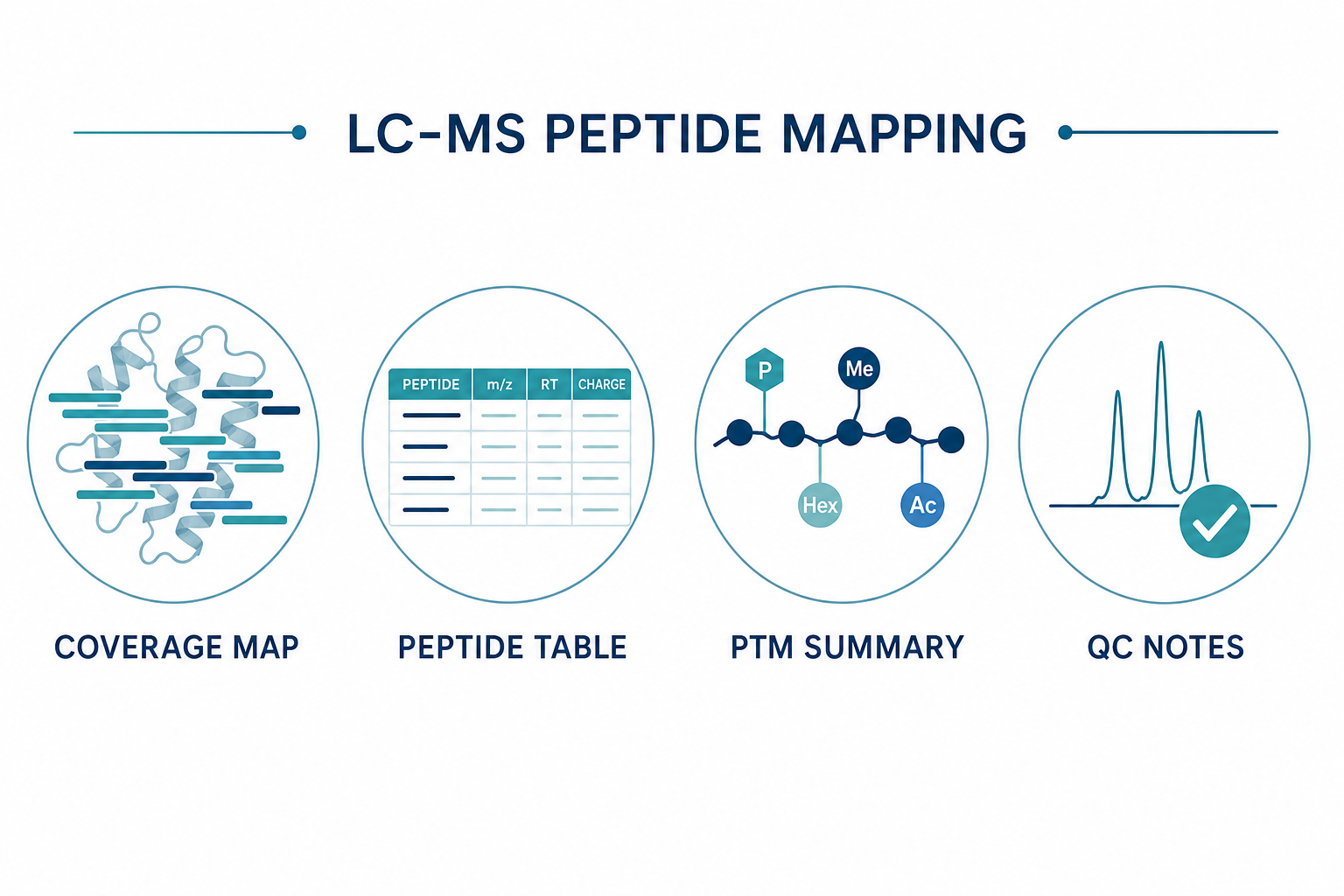 Expected LC-MS peptide mapping deliverables including sequence coverage map, peptide identification table, PTM summary, and QC review notes