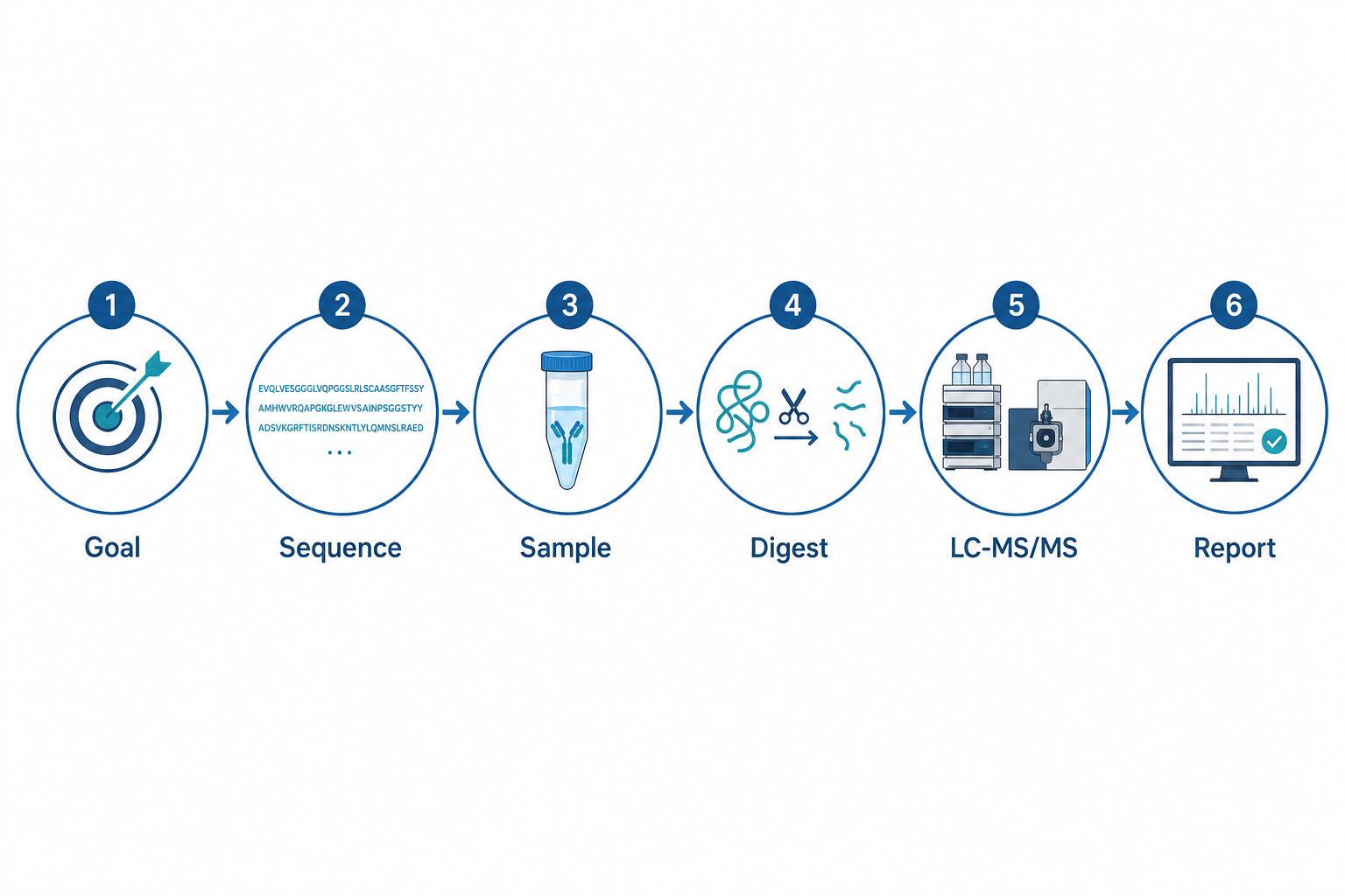 Step-by-step LC-MS peptide mapping workflow from goal definition through reference sequence setup, sample review, digestion, LC-MS/MS acquisition, and coverage reporting
