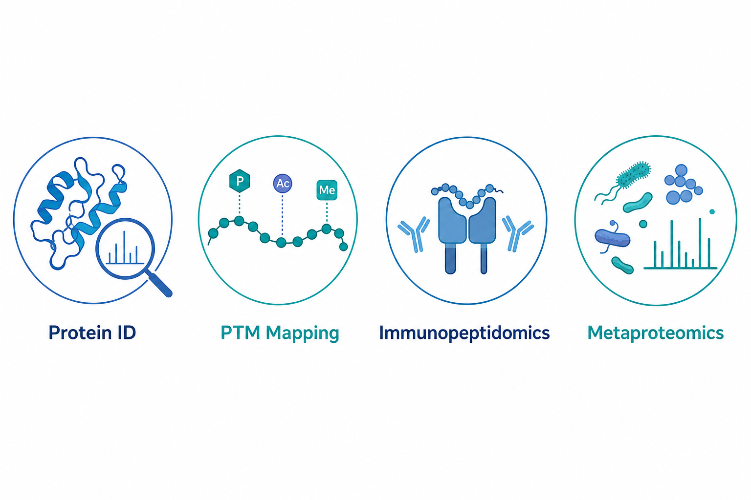 Proteomics applications of peptide sequencing including protein identification, PTM site mapping, immunopeptidomics, and metaproteomics