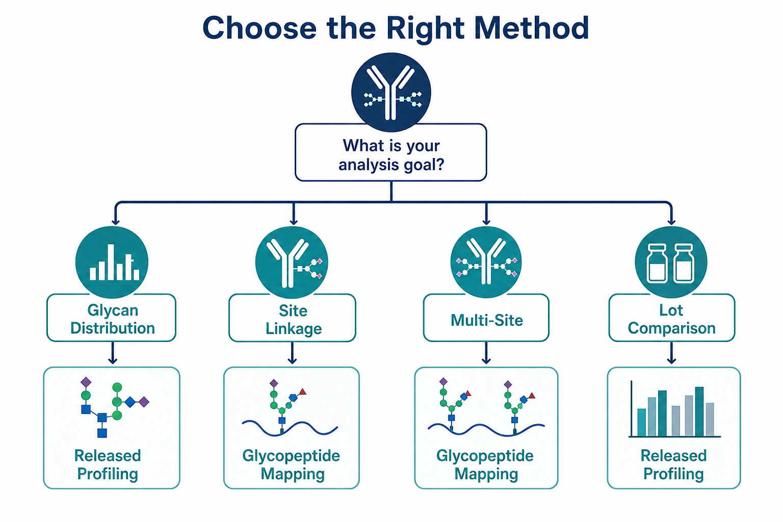 Decision guide for choosing released N-glycan profiling or glycopeptide mapping for antibody glycosylation analysis based on site linkage and reporting goal Decision guide for choosing released N-glycan profiling or glycopeptide mapping for antibody glycosylation analysis based on site linkage and reporting goal