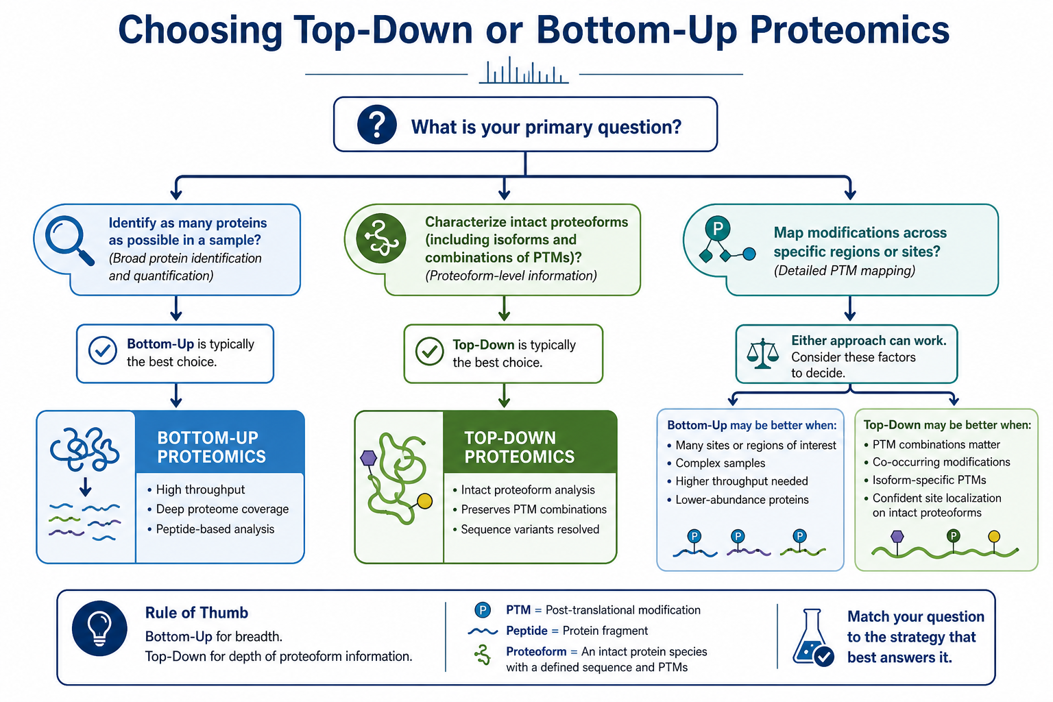 Decision guide for choosing top-down or bottom-up proteomics based on structural resolution needs and sample complexity Decision guide for choosing top-down or bottom-up proteomics based on structural resolution needs and sample complexity