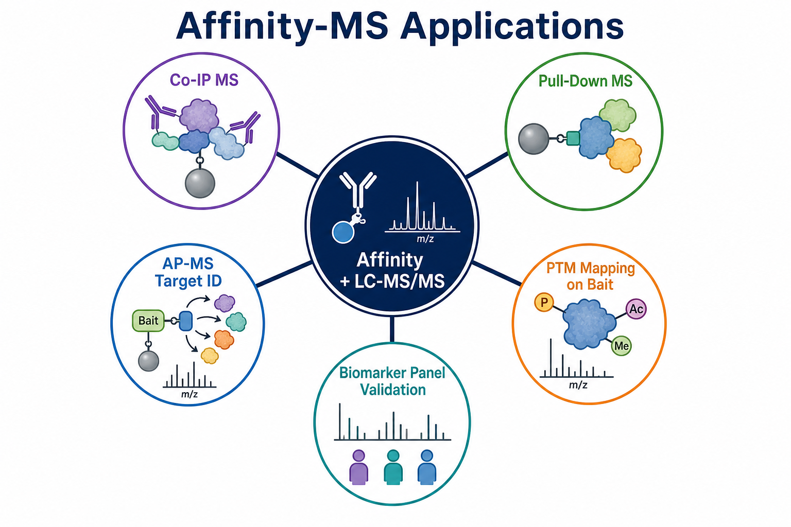 Applications of integrating mass spectrometry with affinity-based proteomics in Co-IP MS, pull-down analysis, target ID, and PTM mapping