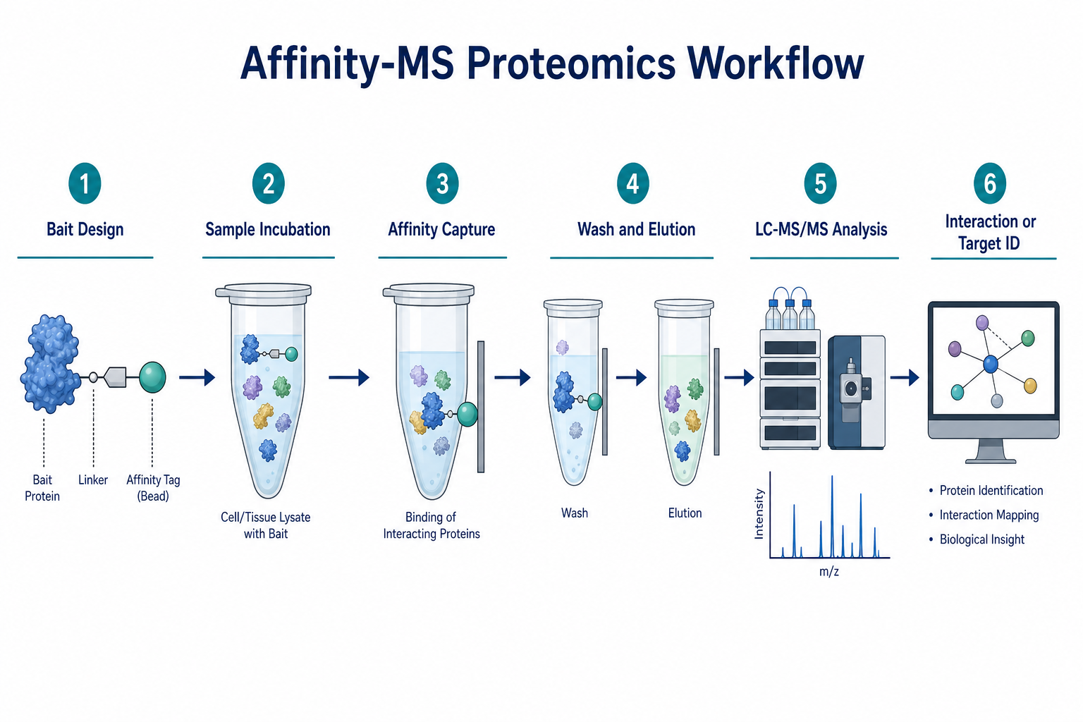 Affinity-MS proteomics workflow from bait design and capture through LC-MS/MS analysis and interactor identification
