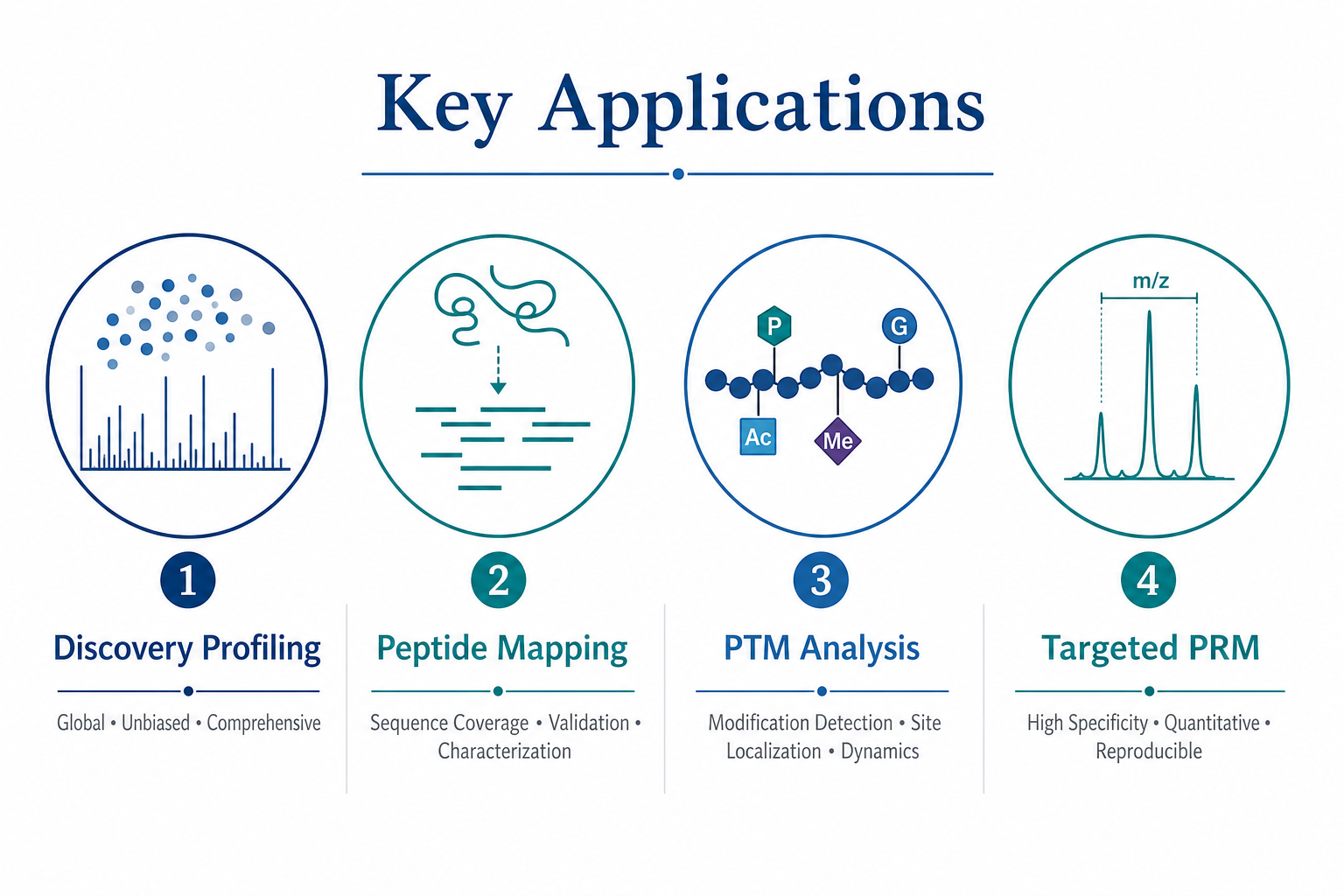 Key LC-MS/MS applications in bottom-up proteomics including discovery profiling peptide mapping PTM analysis and targeted PRM follow-up