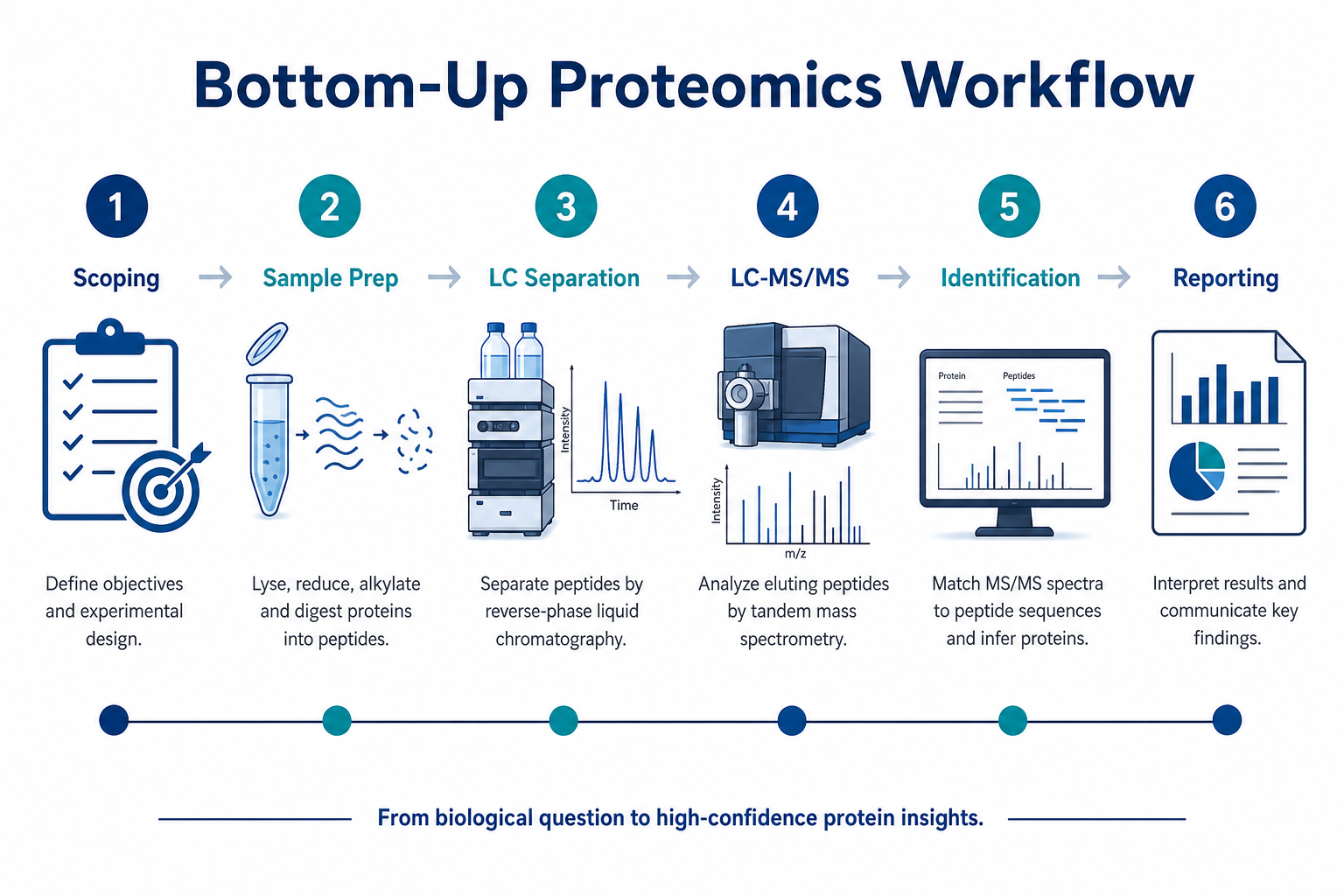 Standard bottom-up proteomics workflow guide from project scoping through sample preparation LC-MS/MS identification and reporting