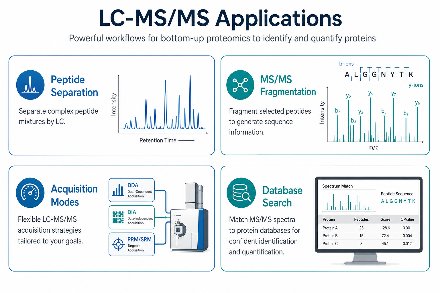 LC-MS/MS applications in bottom-up proteomics including peptide separation precursor fragmentation acquisition modes and database searching
