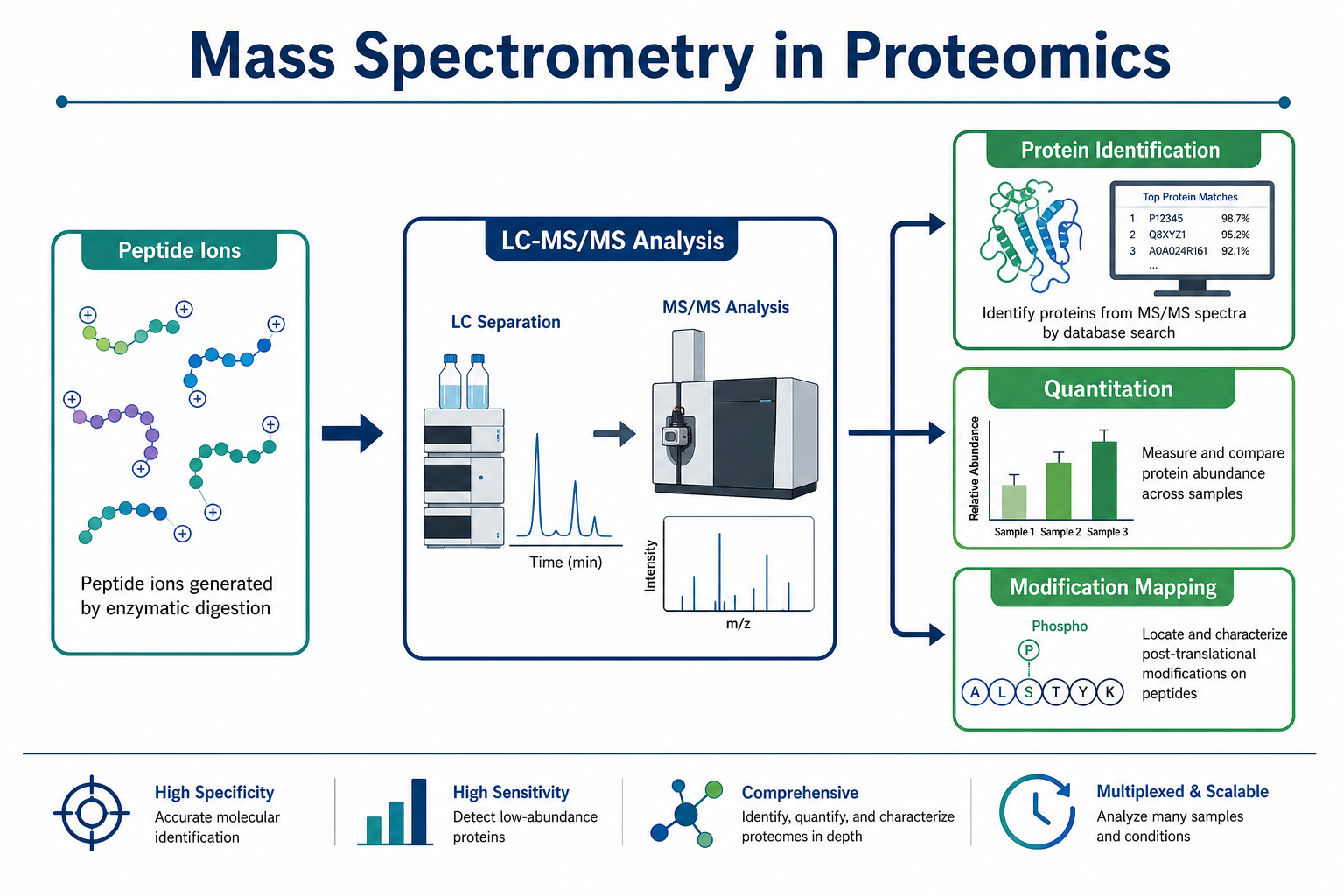 Mass spectrometry in proteomics overview showing peptide ions LC-MS/MS analysis and protein-level identification quantitation and modification results