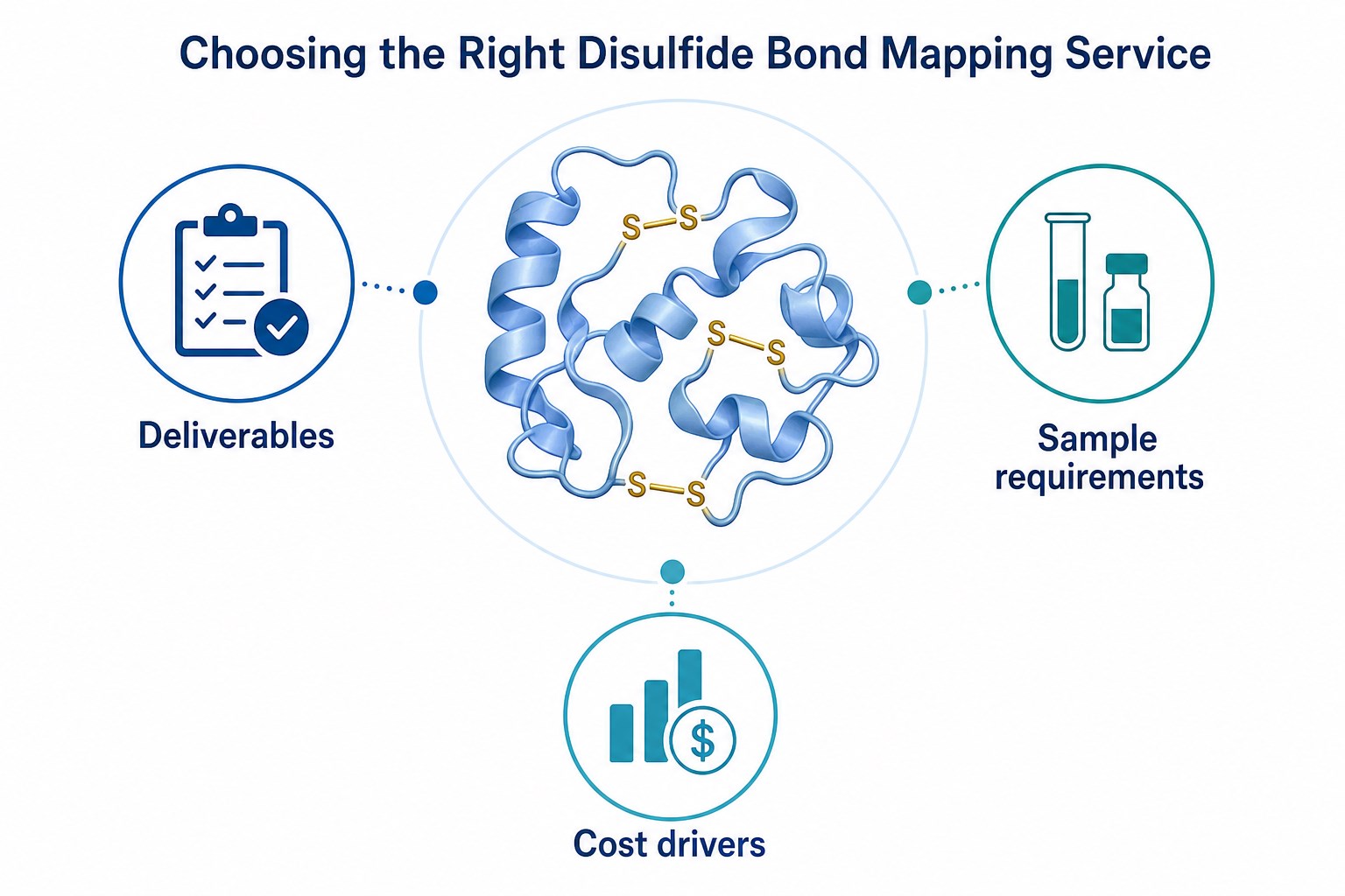 Three evaluation areas for choosing a disulfide bond mapping service including deliverables sample requirements and cost drivers Three evaluation areas for choosing a disulfide bond mapping service including deliverables sample requirements and cost drivers