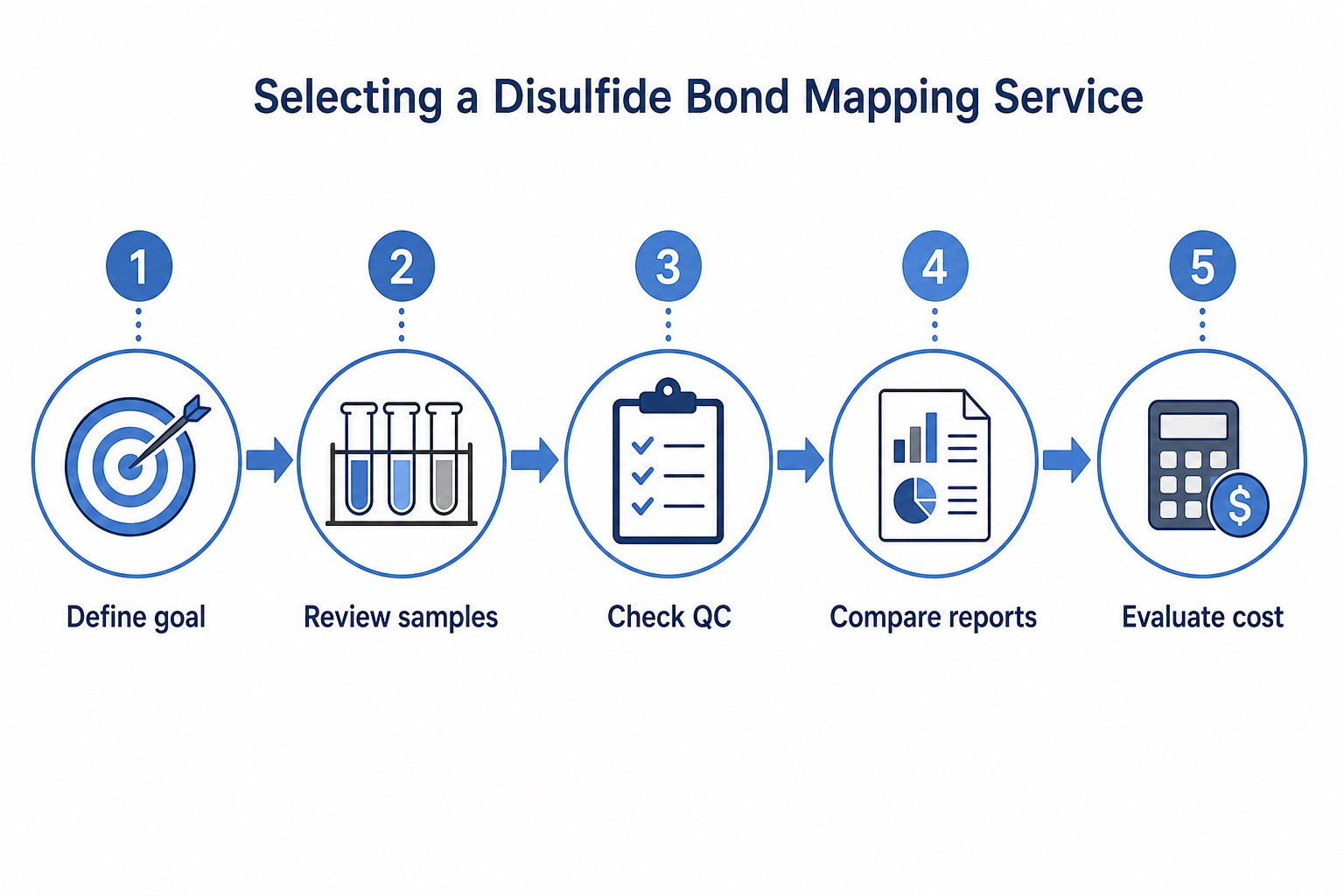 Decision workflow for choosing a disulfide bond mapping service from goal definition through sample review QC comparison and cost evaluation Decision workflow for choosing a disulfide bond mapping service from goal definition through sample review QC comparison and cost evaluation