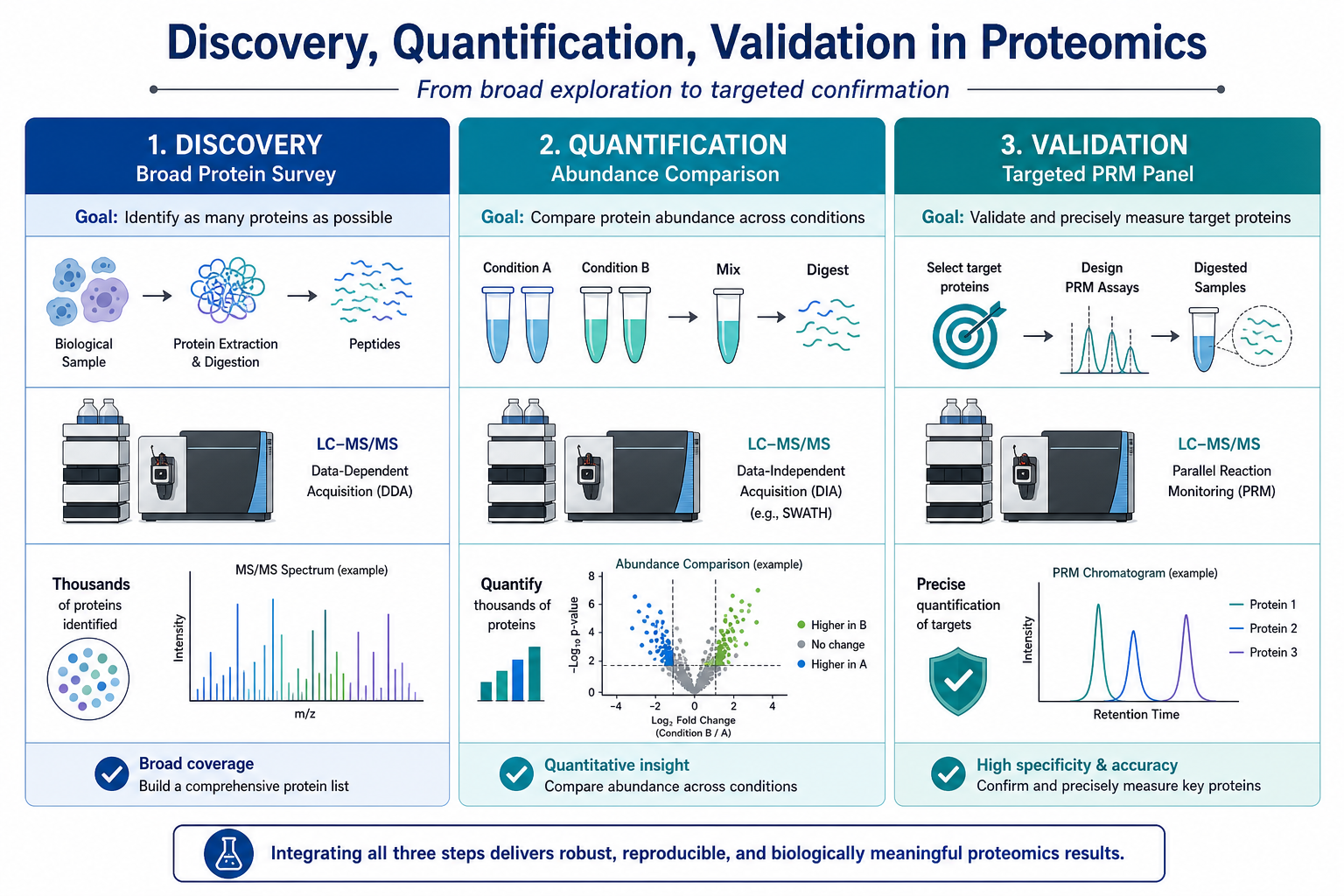 Discovery, quantification, and validation compared across primary output, workflow depth, replicate needs, and confidence standards in mass spectrometry proteomics
