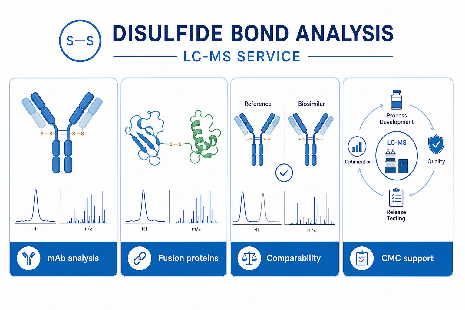 Applications of disulfide bond analysis LC-MS service in mAb analysis fusion proteins comparability and CMC support