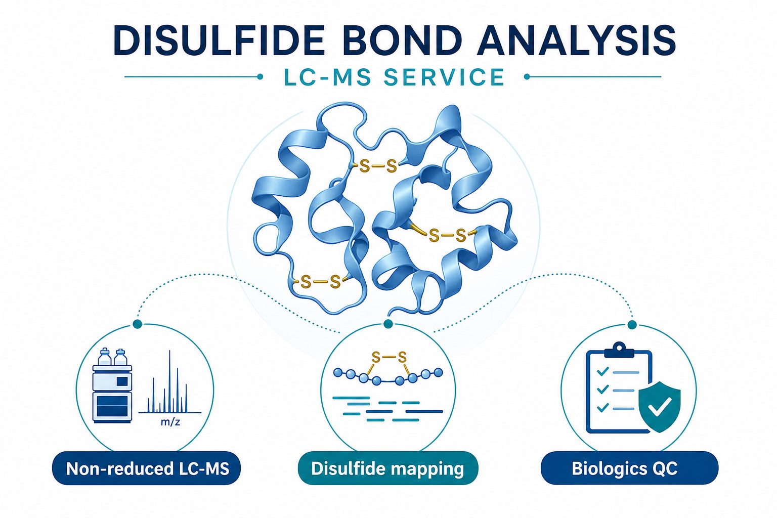 Disulfide bond analysis LC-MS service capabilities including non-reduced LC-MS disulfide mapping and biologics QC support