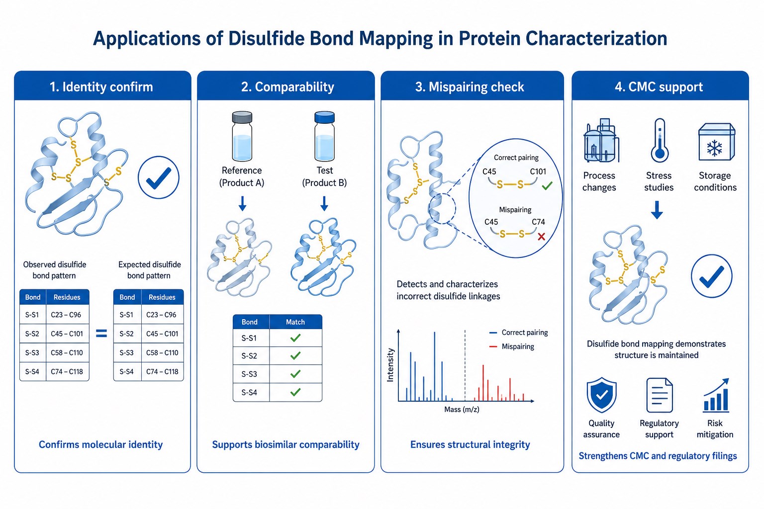 Applications of disulfide bond mapping in protein characterization including identity confirmation comparability mispairing check and CMC support