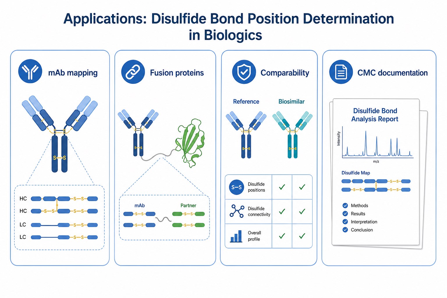 Applications of disulfide bond position determination by peptide mapping in mAb mapping fusion proteins comparability and CMC documentation