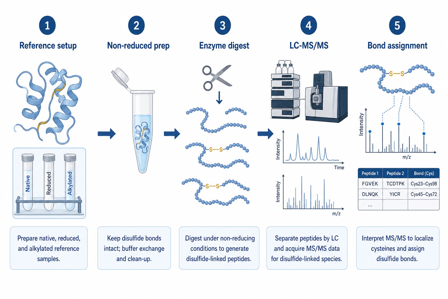 Workflow for determining disulfide bond position by peptide mapping from reference setup through non-reduced prep LC-MS/MS and bond assignment