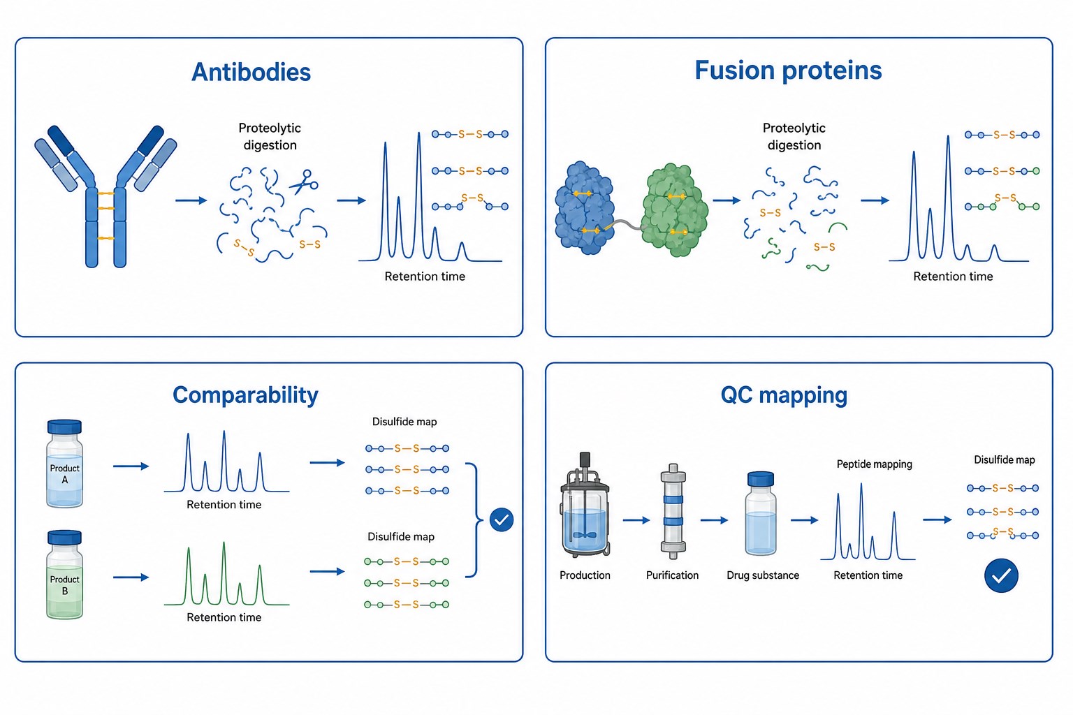 Applications of determining disulfide bond position by peptide mapping in antibodies fusion proteins comparability and QC mapping