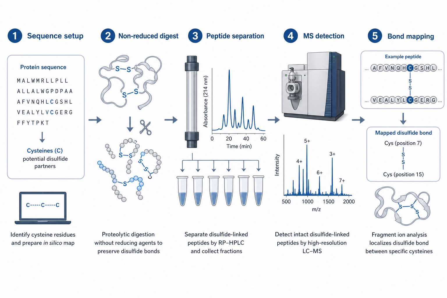 Peptide mapping workflow for disulfide bond position determination from sequence setup through non-reduced digest peptide separation and bond mapping