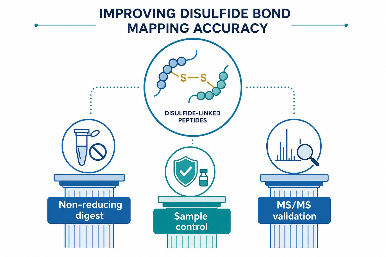 Common factors affecting disulfide bond mapping accuracy including non-reducing digestion control sample handling and MS/MS validation Common factors affecting disulfide bond mapping accuracy including non-reducing digestion control sample handling and MS/MS validation