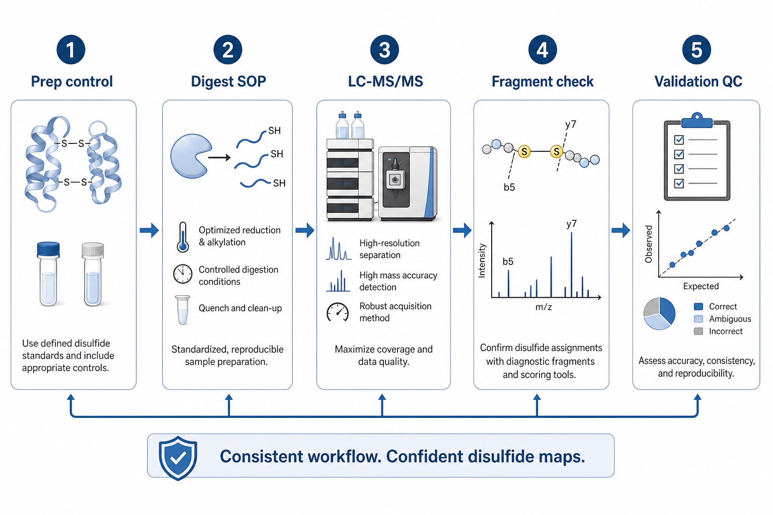 Workflow to improve disulfide bond mapping accuracy from prep control and digest SOP through LC-MS/MS fragment check and validation QC Workflow to improve disulfide bond mapping accuracy from prep control and digest SOP through LC-MS/MS fragment check and validation QC