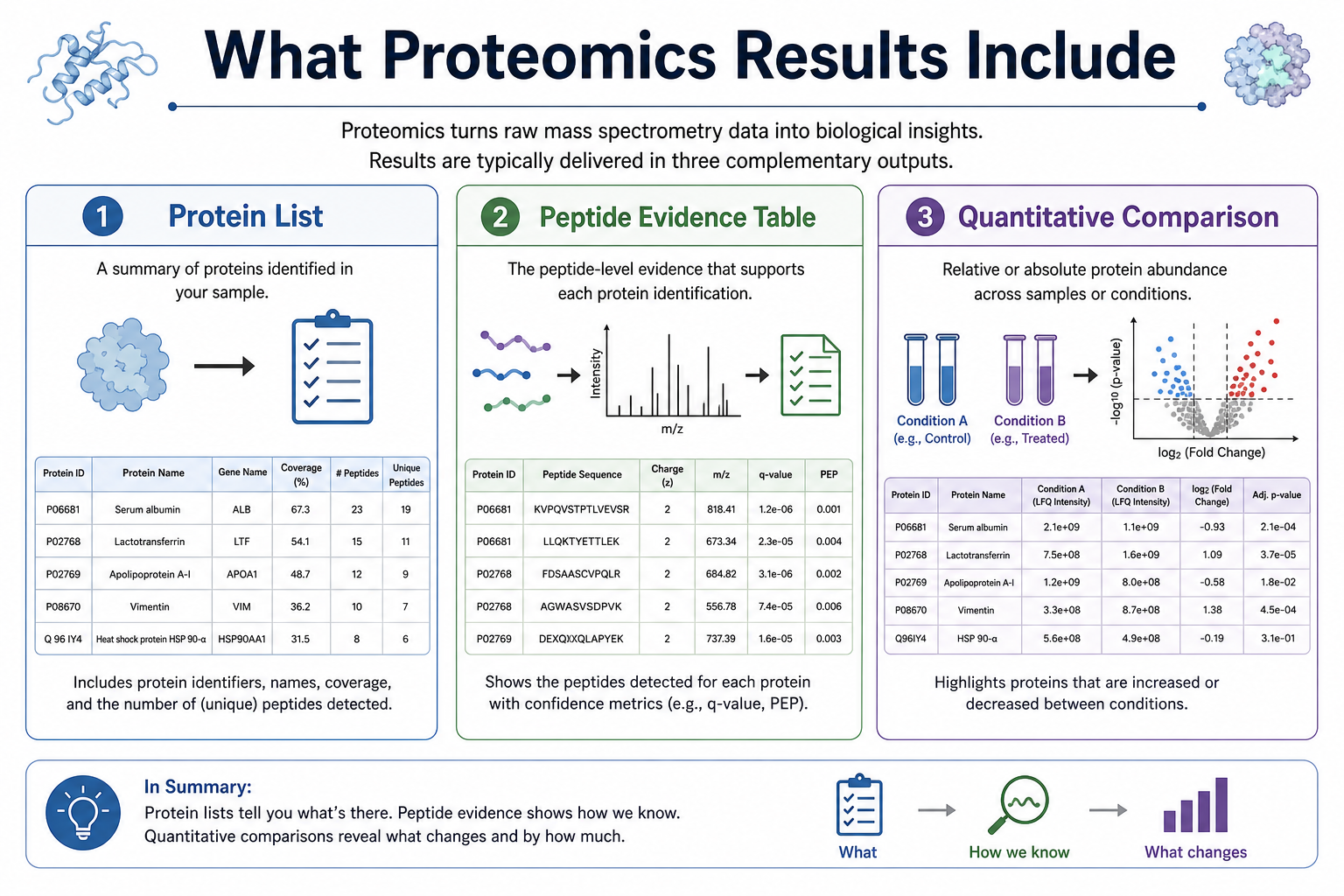Typical outputs from mass spectrometry-based proteomics including protein lists peptide evidence and quantitative comparisons