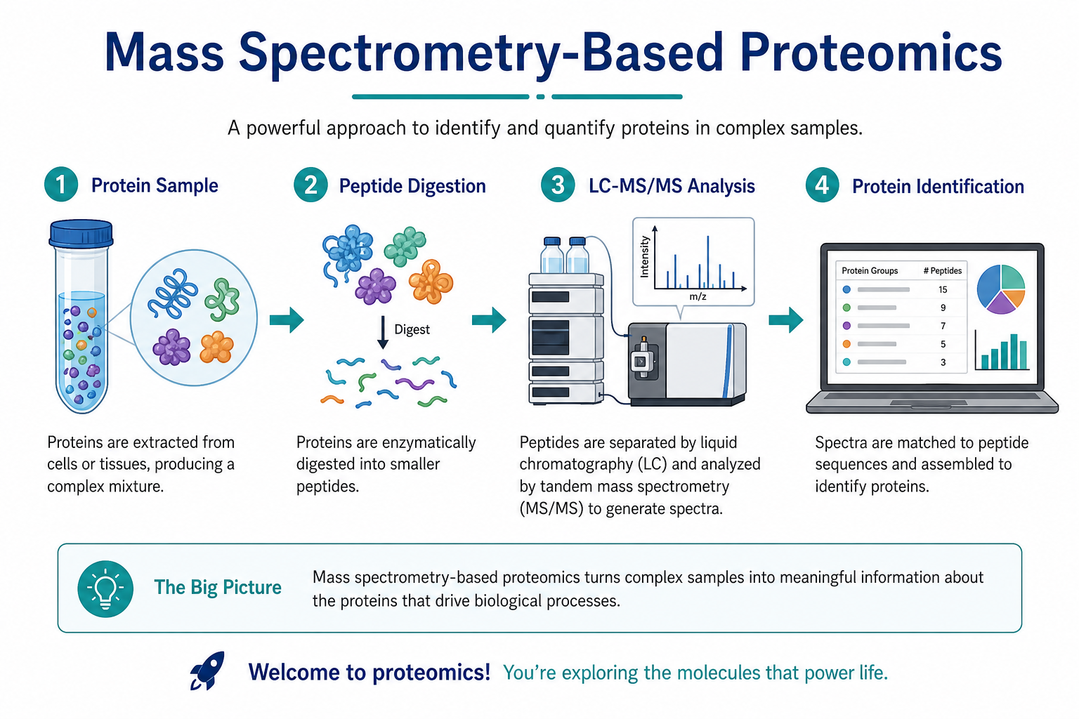 Introduction overview of mass spectrometry-based proteomics from protein samples through LC-MS/MS to protein identification results