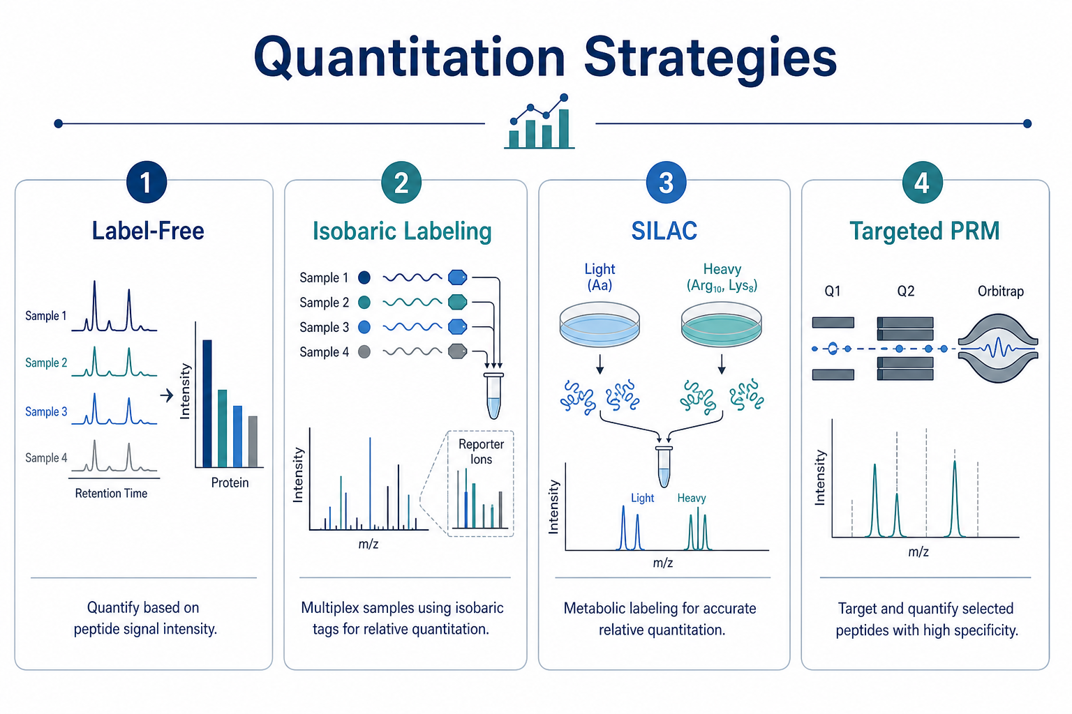 Protein quantitation strategies in LC-MS proteomics including label-free isobaric labeling metabolic labeling and targeted PRM