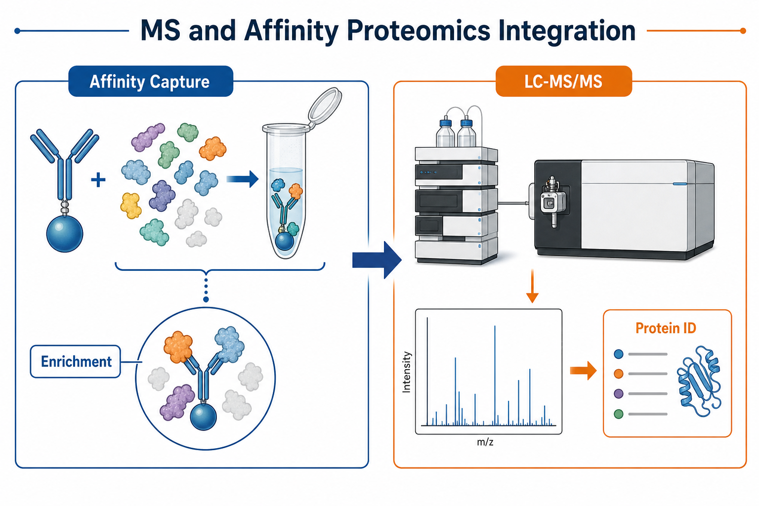 Overview of integrating mass spectrometry with affinity-based proteomics from selective capture through LC-MS/MS identification