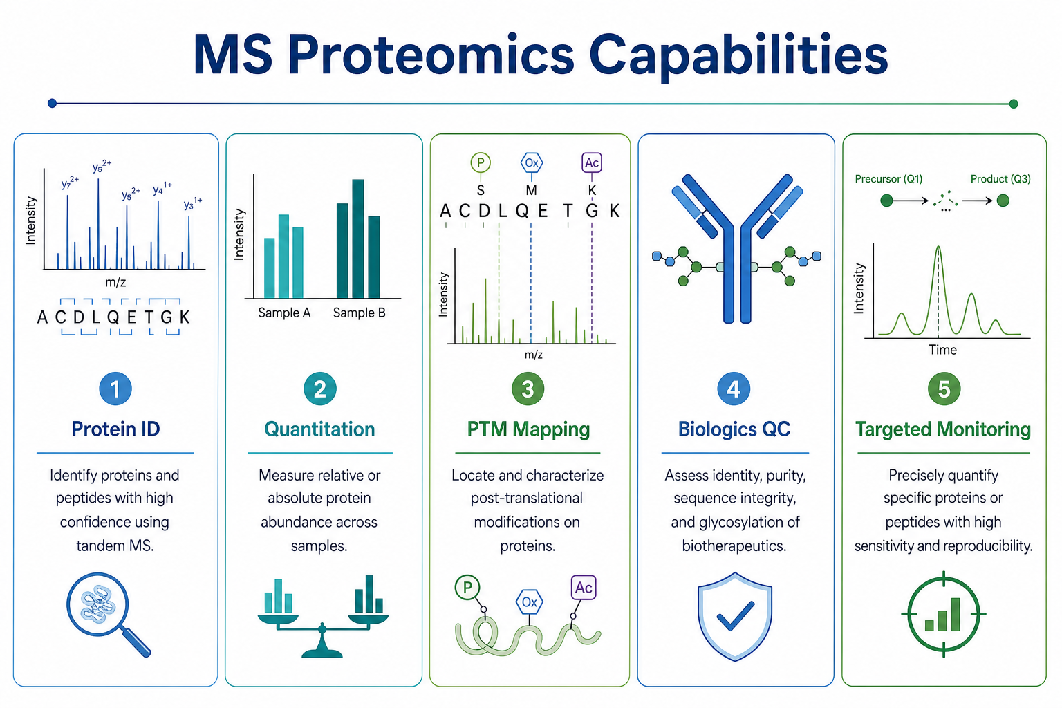 Mass spectrometry proteomics capabilities including protein identification quantitation PTM mapping biologics characterization and targeted monitoring
