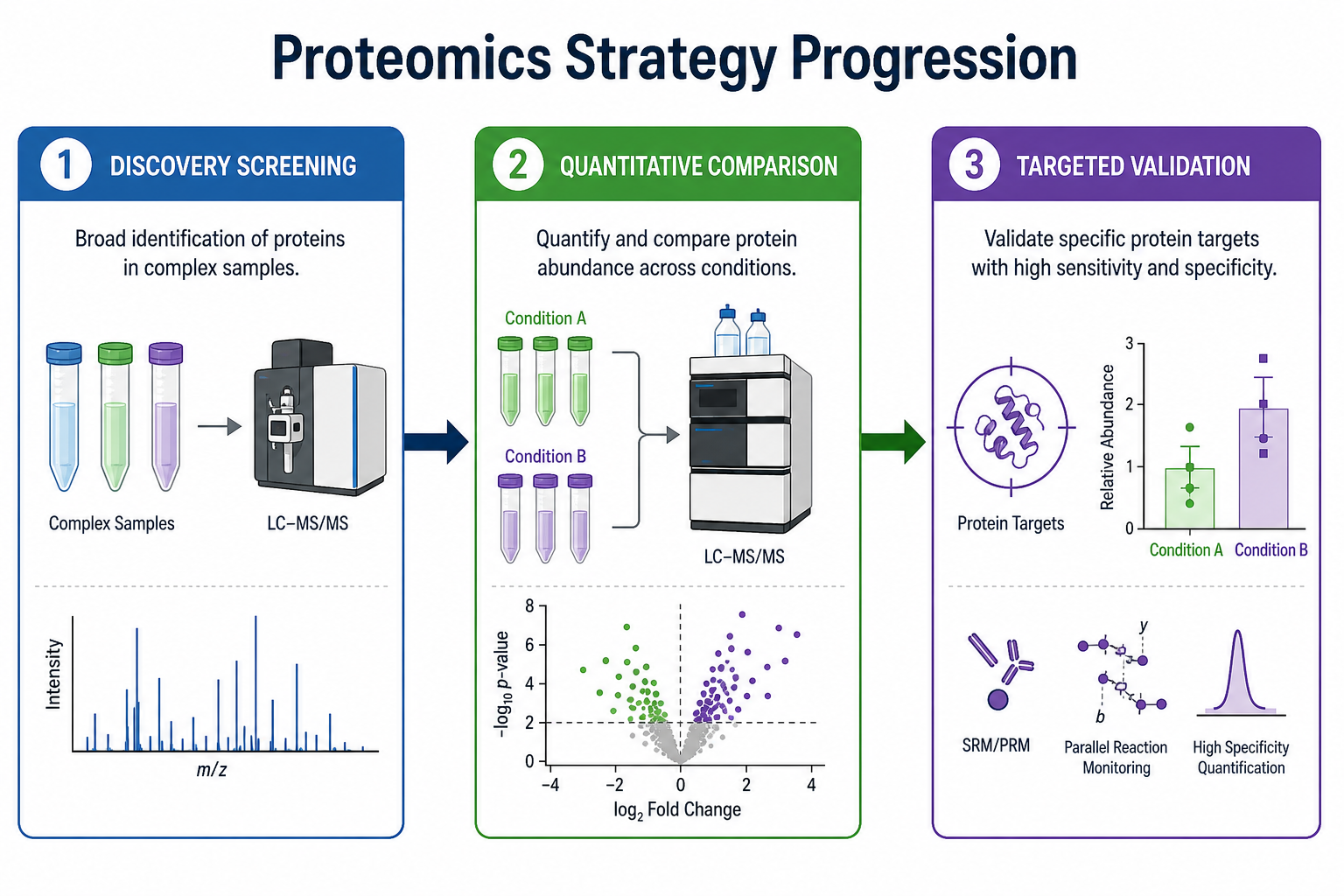 Progressive proteomics strategy flow from discovery screening through quantitative comparison to targeted validation