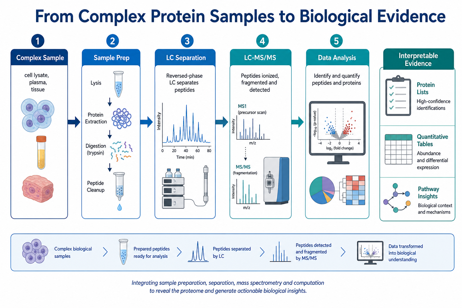 From complex protein samples to interpretable biological evidence in mass spectrometry proteomics through sample preparation LC-MS/MS and data analysis From complex protein samples to interpretable biological evidence in mass spectrometry proteomics through sample preparation LC-MS/MS and data analysis