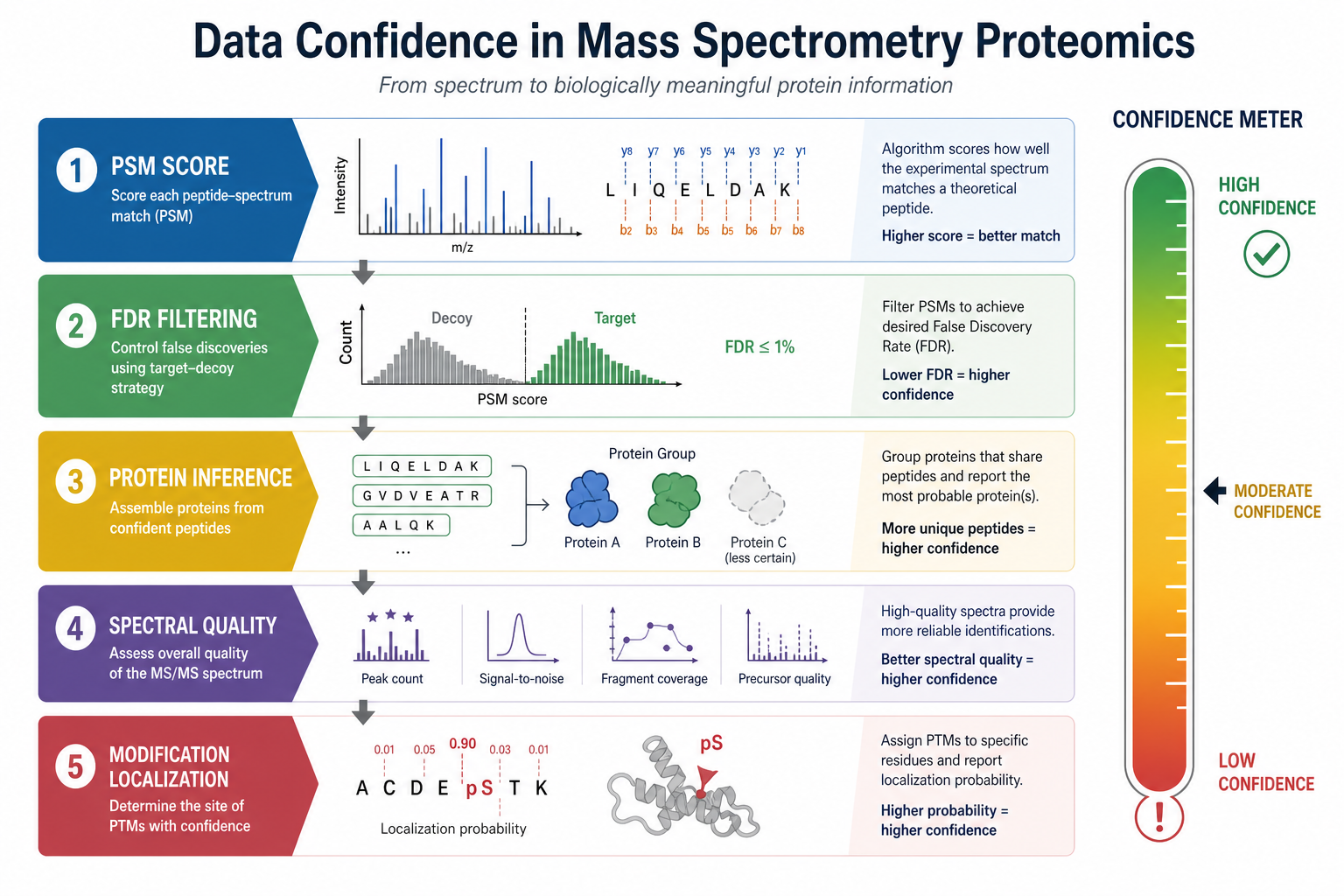 Data confidence factors in mass spectrometry proteomics including PSM quality, FDR filtering, protein inference, spectral support, and modification localization Data confidence factors in mass spectrometry proteomics including PSM quality, FDR filtering, protein inference, spectral support, and modification localization