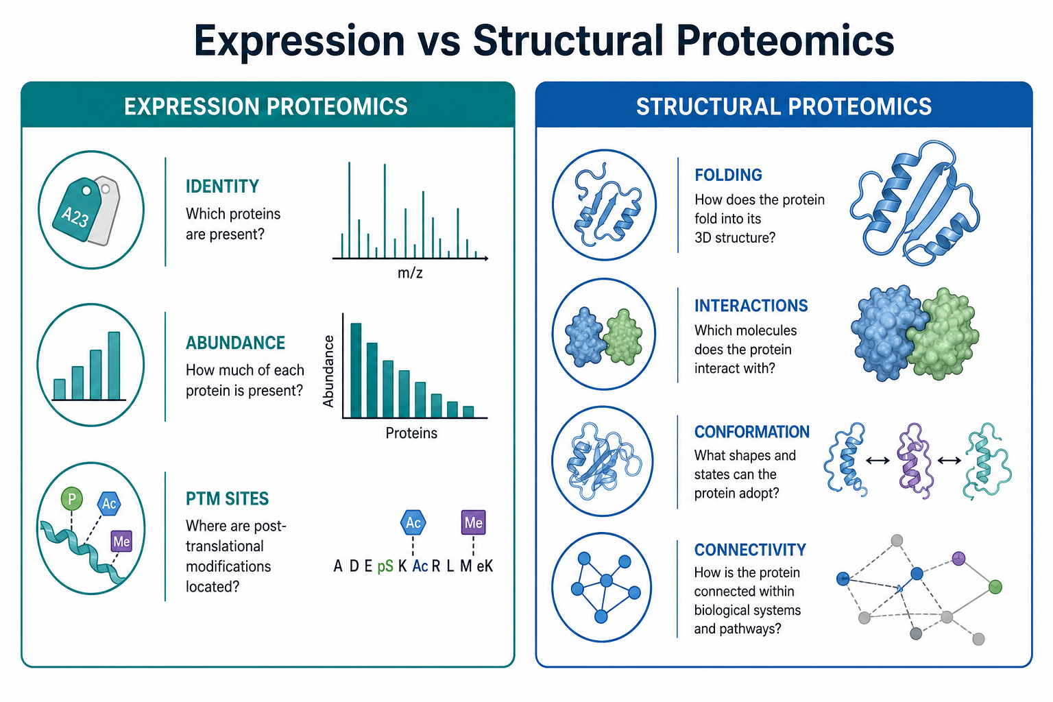 Comparison of expression proteomics and structural proteomics by analytical question output type and workflow focus Comparison of expression proteomics and structural proteomics by analytical question output type and workflow focus