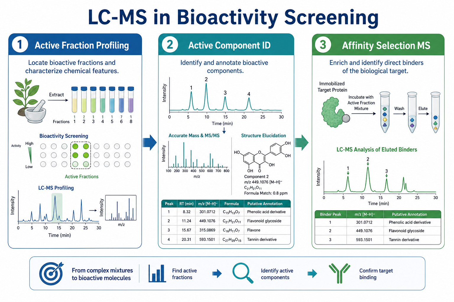 LC-MS in bioactivity screening showing fraction analysis active component identification and affinity selection mass spectrometry target nomination LC-MS in bioactivity screening showing fraction analysis active component identification and affinity selection mass spectrometry target nomination