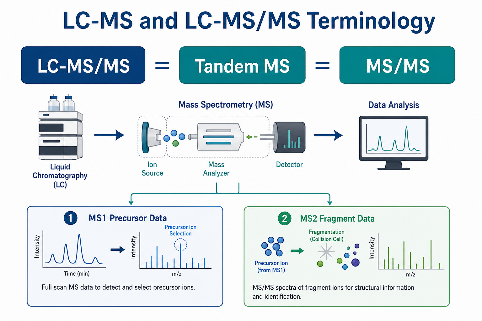 LC-MS and LC-MS/MS terminology and outputs in proteomics including MS1 survey scans MS2 fragmentation and peptide-spectrum match reporting LC-MS and LC-MS/MS terminology and outputs in proteomics including MS1 survey scans MS2 fragmentation and peptide-spectrum match reporting