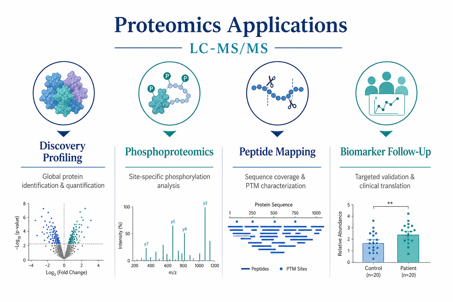 LC-MS/MS proteomics applications including discovery profiling phosphoproteomics biologics peptide mapping and targeted biomarker follow-up LC-MS/MS proteomics applications including discovery profiling phosphoproteomics biologics peptide mapping and targeted biomarker follow-up