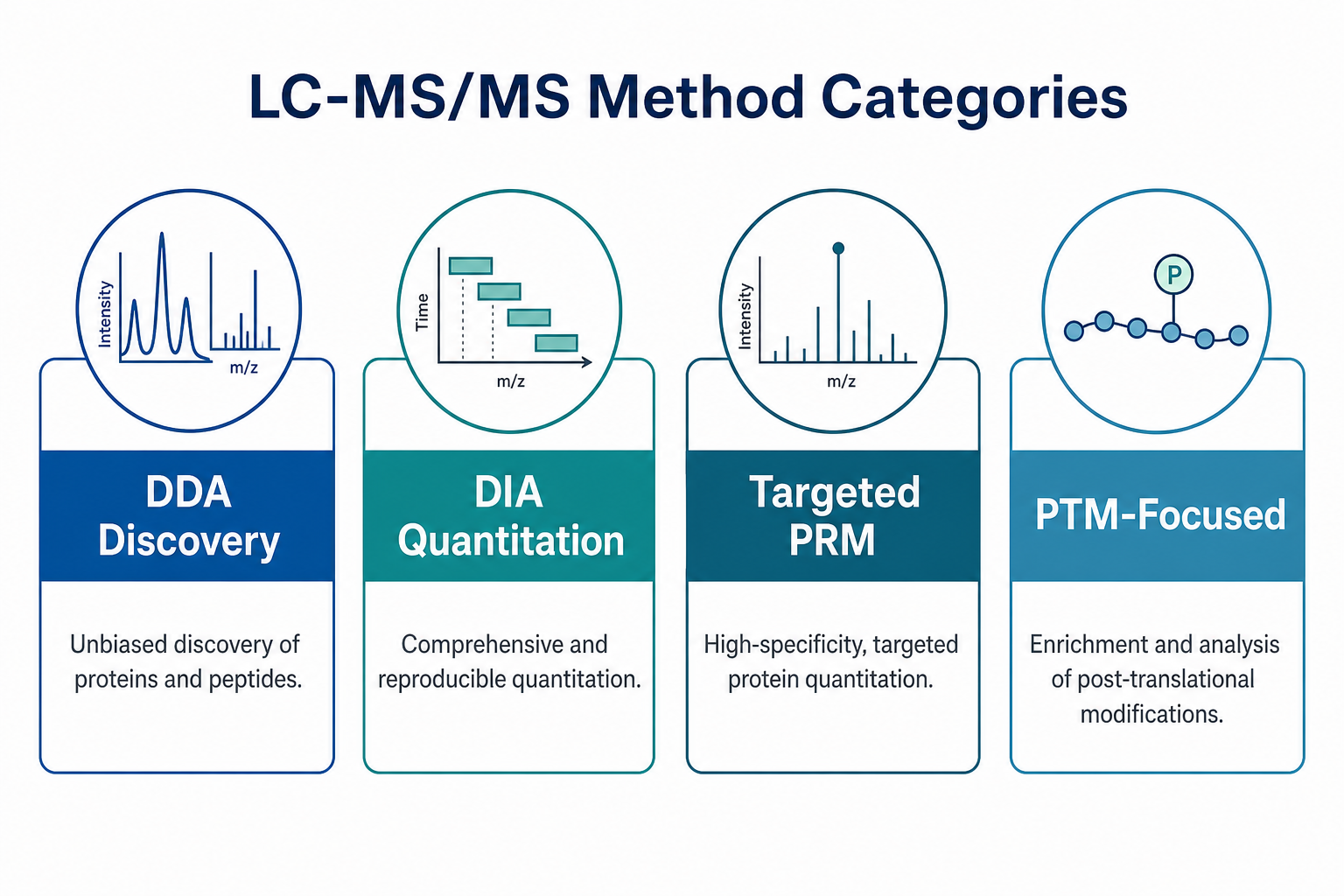 Main LC-MS/MS method categories in proteomics including DDA discovery DIA quantitation targeted PRM and modification-focused workflows Main LC-MS/MS method categories in proteomics including DDA discovery DIA quantitation targeted PRM and modification-focused workflows