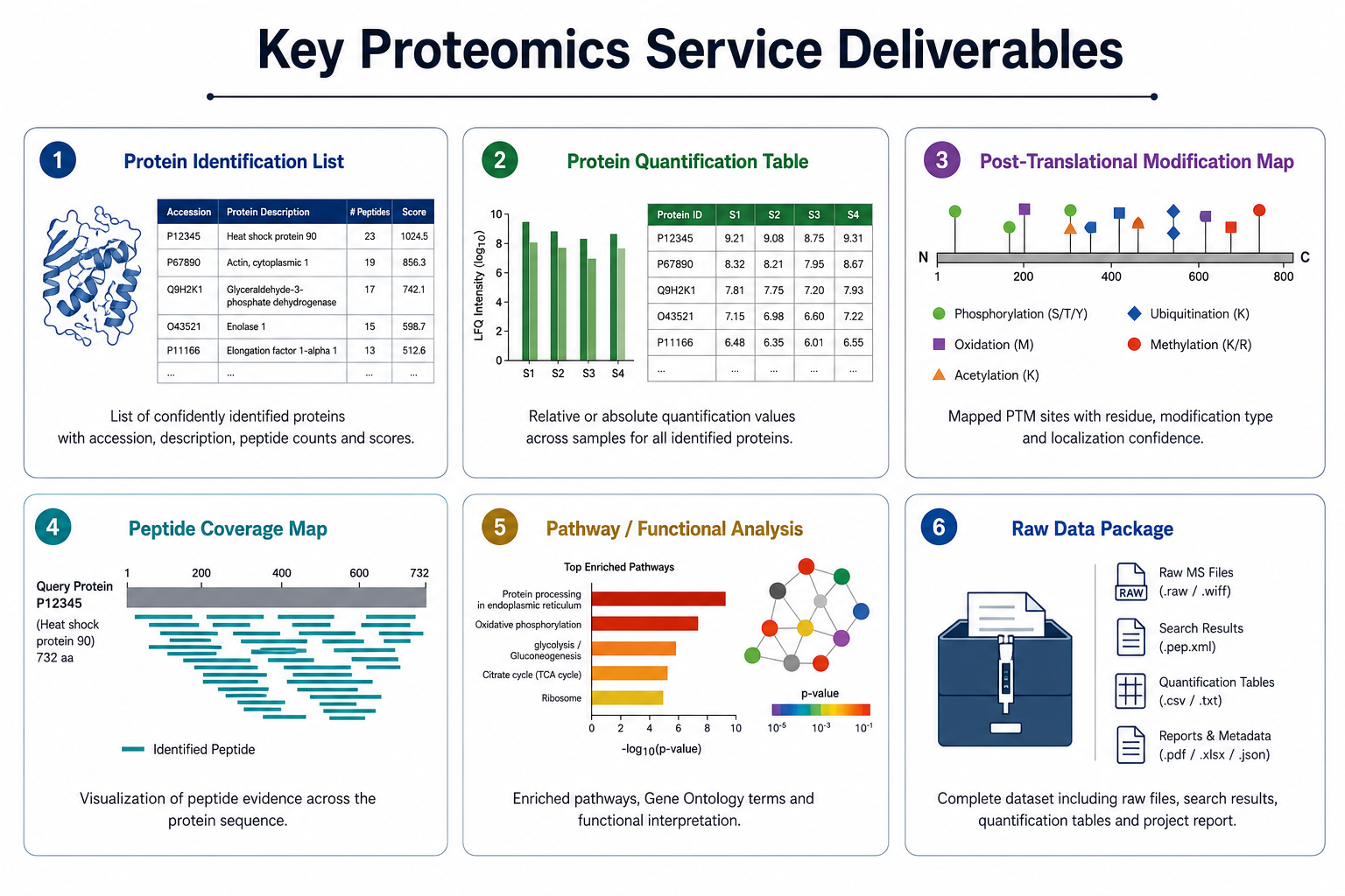 Key LC-MS/MS proteomics service deliverables including protein identification, quantitation tables, PTM maps, peptide coverage, pathway analysis, and data transfer Key LC-MS/MS proteomics service deliverables including protein identification, quantitation tables, PTM maps, peptide coverage, pathway analysis, and data transfer